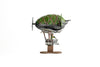 Boiling Tension: Air Marshal Zed Nesbitt Army Expansion  - Premium Pre-Painted Edition