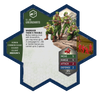G. I. JOE Heroscape: Greenshirts & Battle Copter Common Army Expansion - Unpainted Standard Edition (PRE-ORDER)-All Things Heroscape