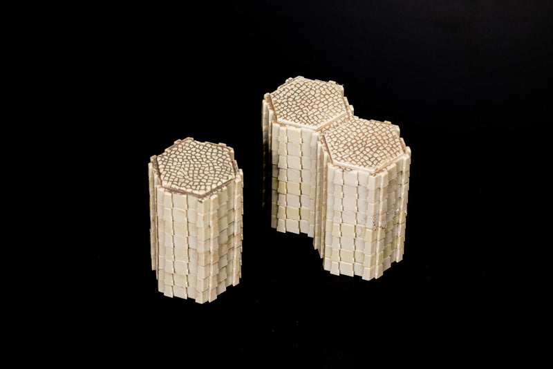 Forest Road Tile Lot - 24 Hexes