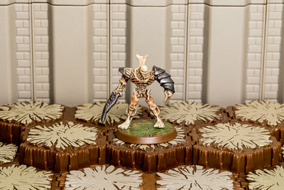 Ne-Gok-Sa - Unique Hero-All Things Heroscape